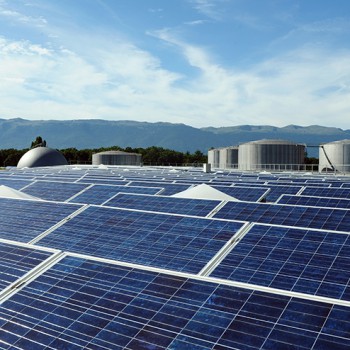 Solar 13